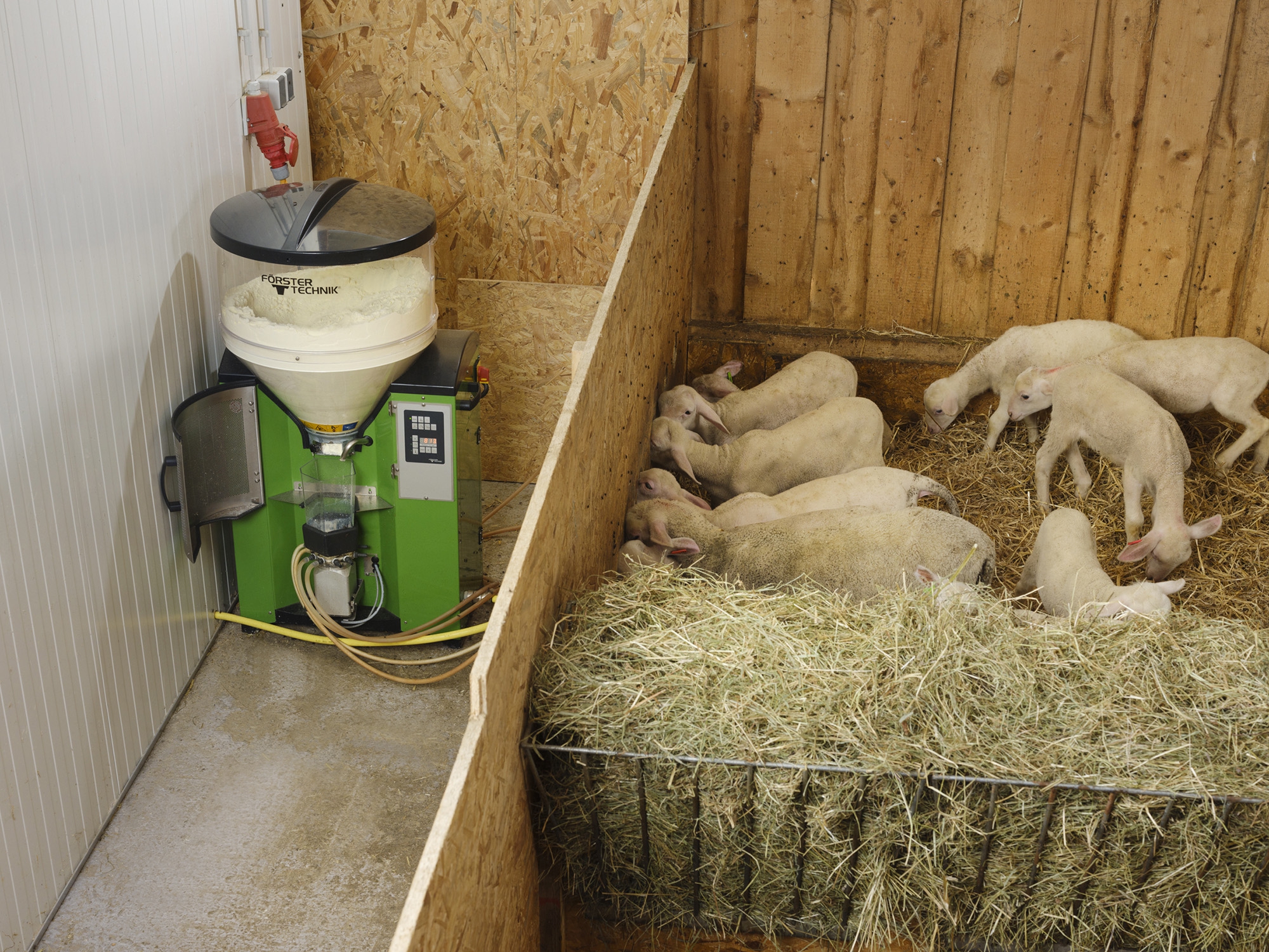 Drinkautomaten voor lammeren